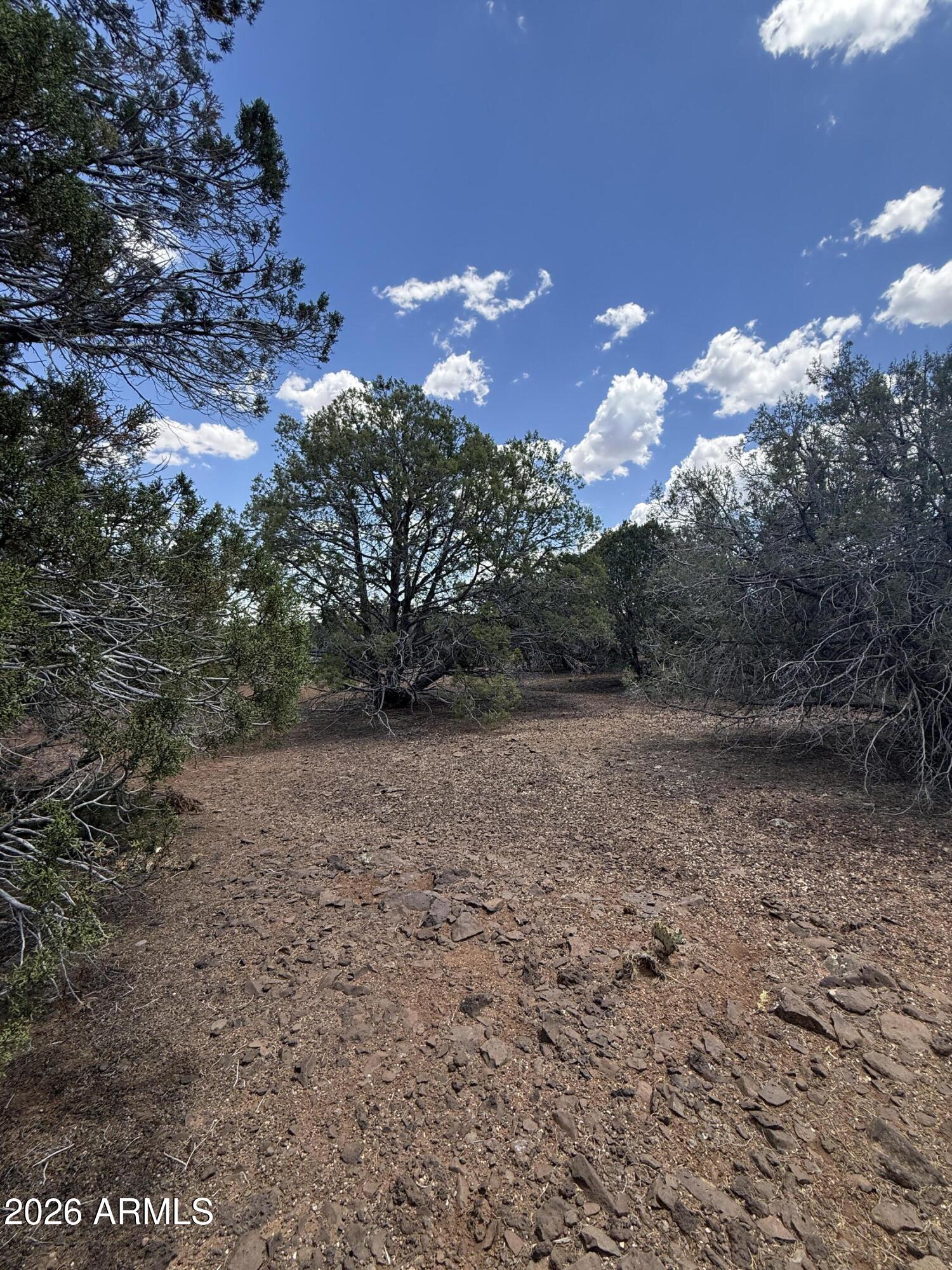 WHITE MOUNTAIN LAKES UNIT 3 - Land
