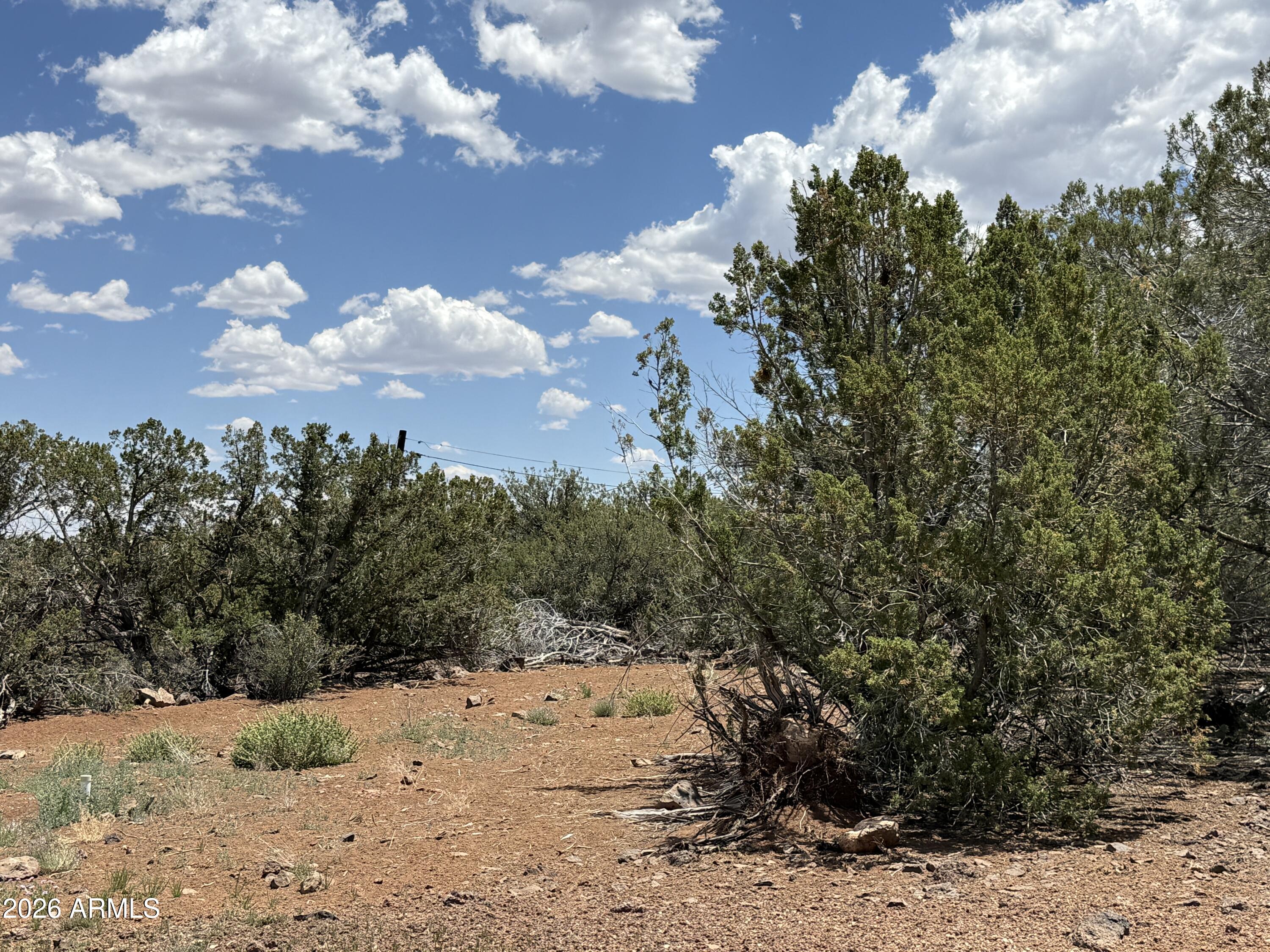 WHITE MOUNTAIN LAKES UNIT 3 - Land