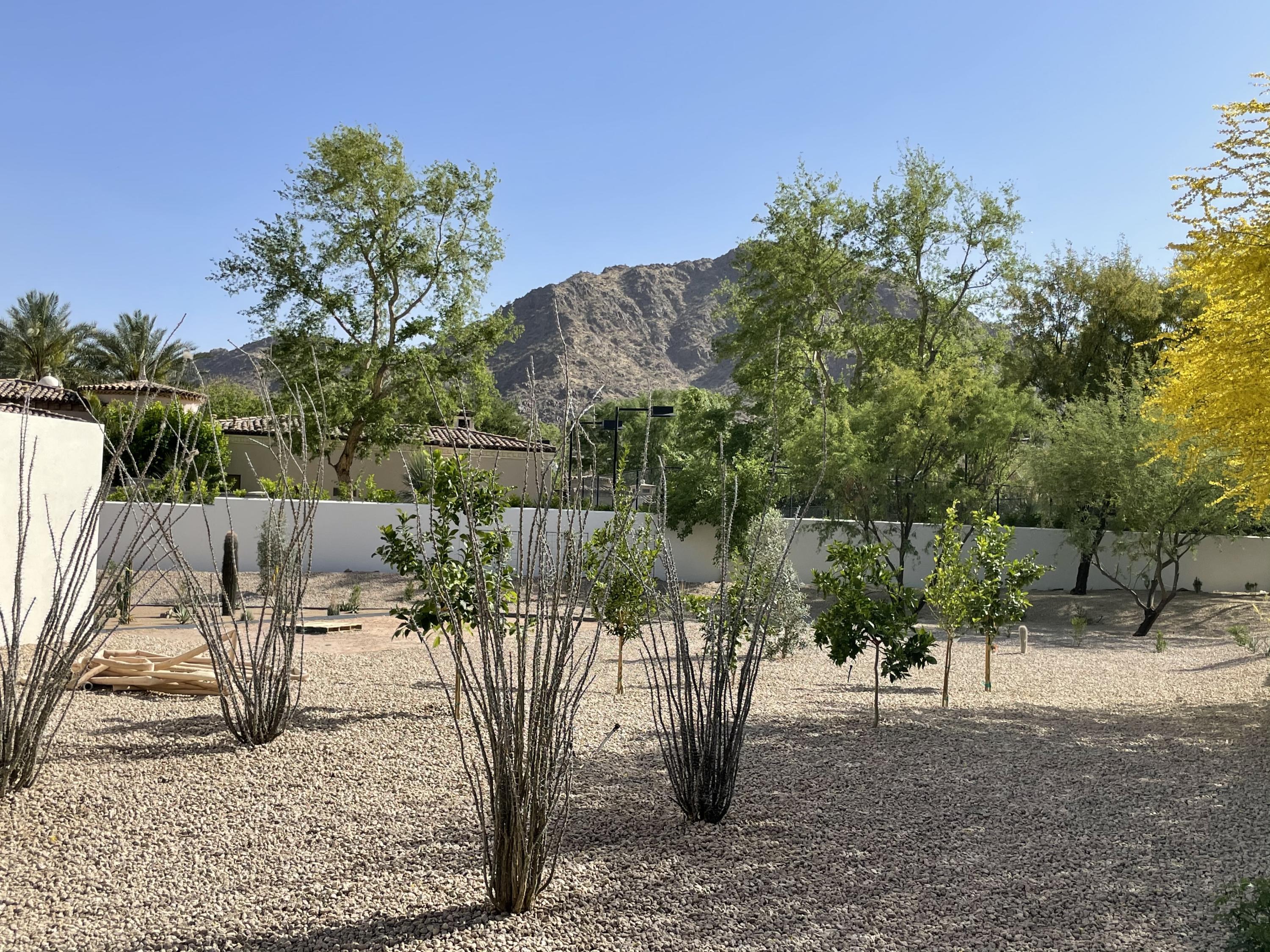 MOUNTAIN SHADOWS ACRES - Residential