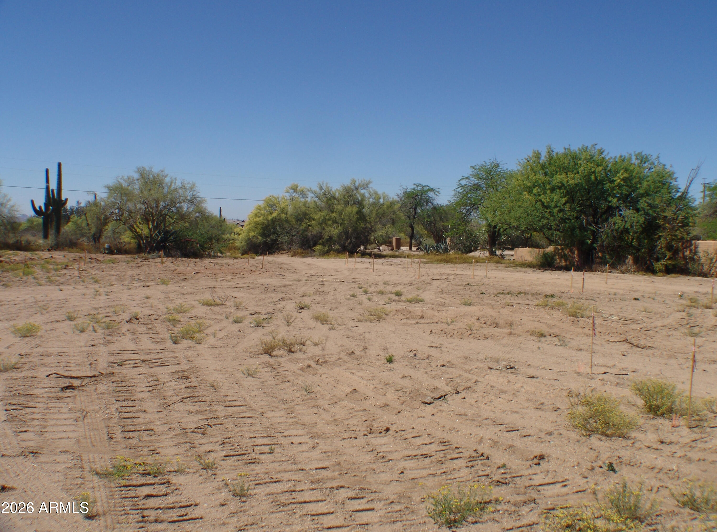 Property is a beautiful nearly flat desert lot on a quiet street with 1.38 acres. Beautiful mature cactus and trees throughout, quiet location corner lot and wonderful desert and mountain views, horse property, gentle sloping lot with room for coral, barn, RV garage and sport court.  This is an easy build come take a drive-by and walk the lot.