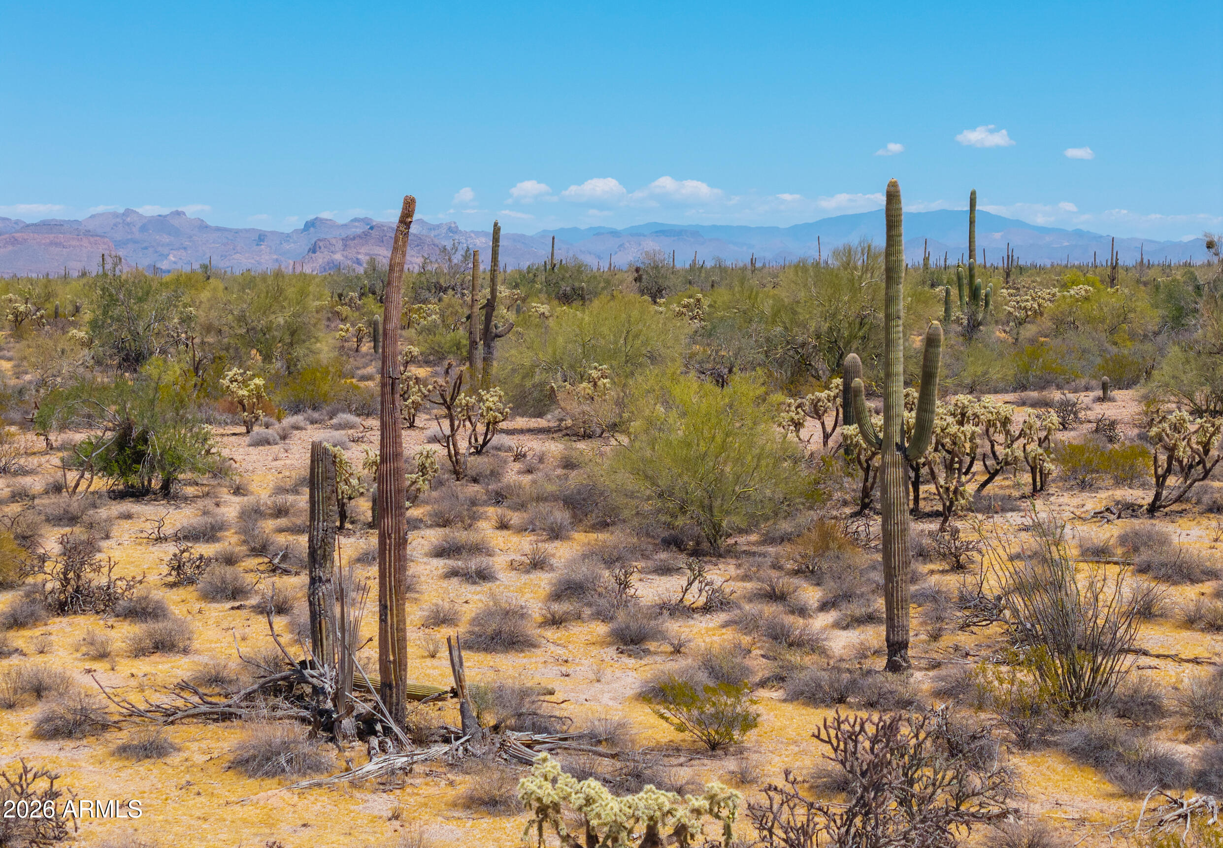 10 Acres North of Kelvin Hwy. - Land