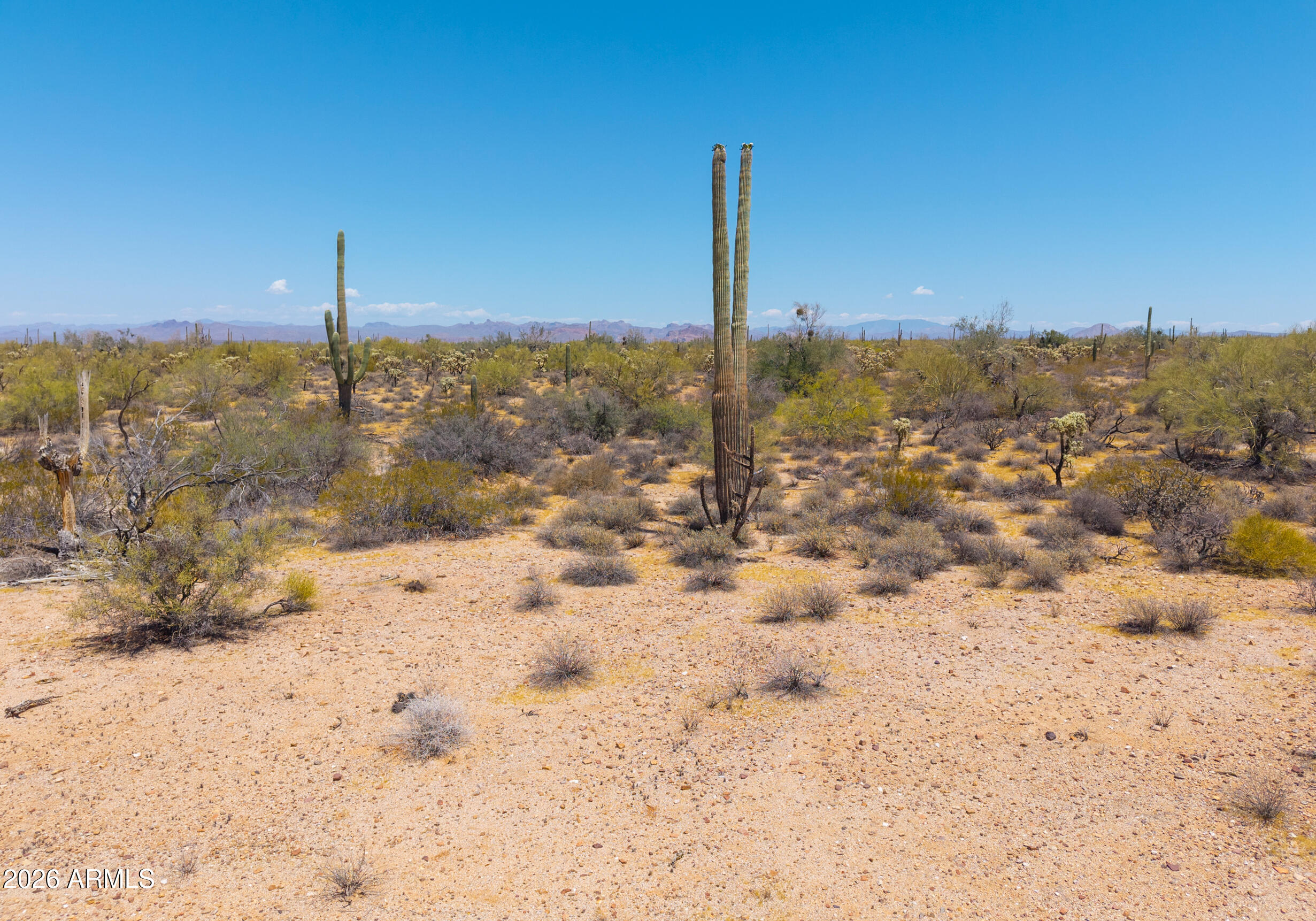 10 Acres North of Kelvin Hwy. - Land