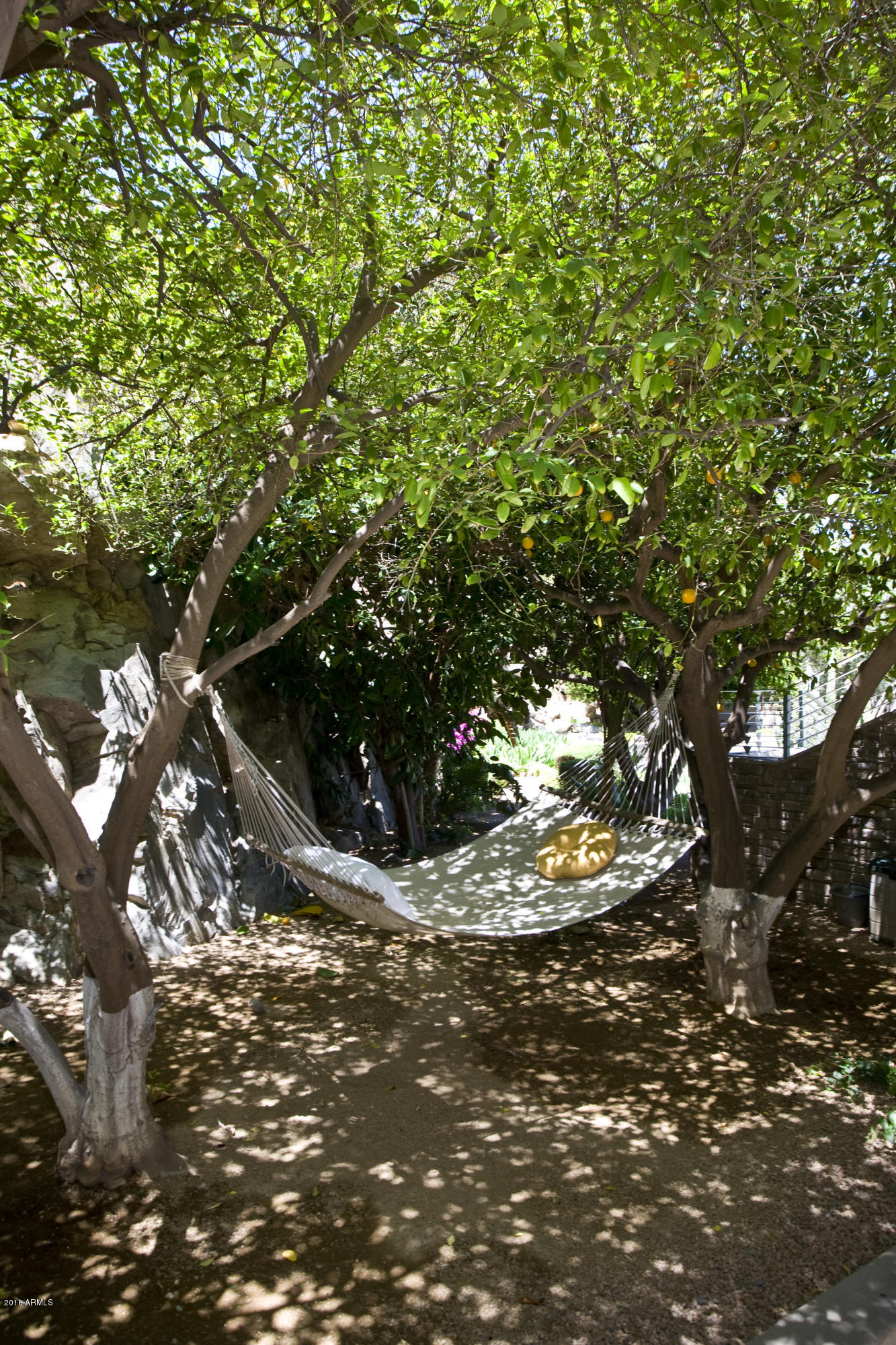 Mummy Mountain Norte - Residential
