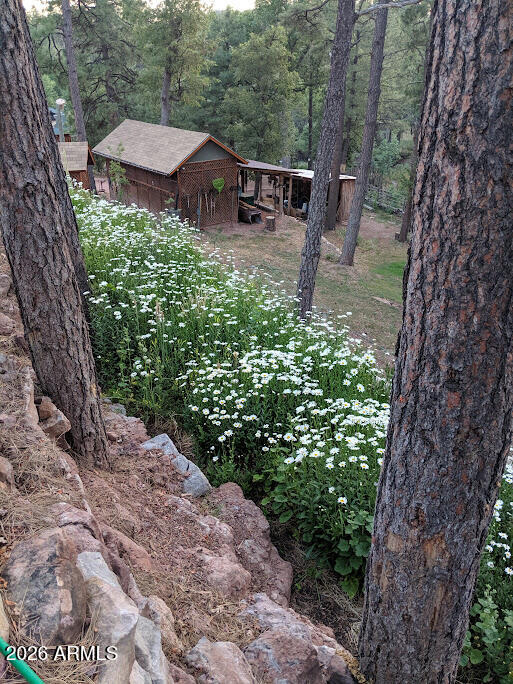 PONDEROSA SPRINGS ESTATES - Residential
