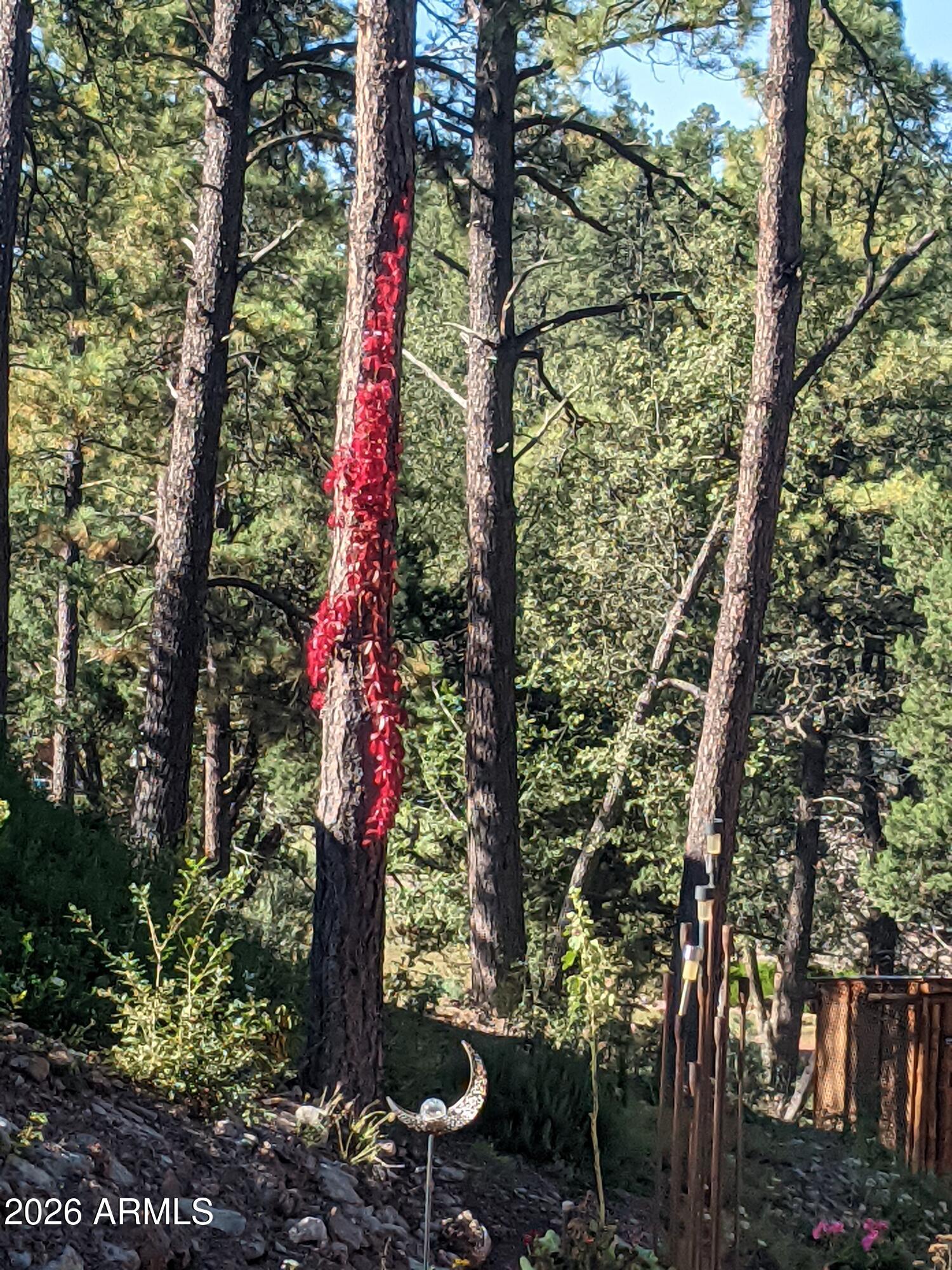 PONDEROSA SPRINGS ESTATES - Residential