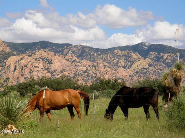 DRAGOON MOUNTAIN RANCH 1 - Land