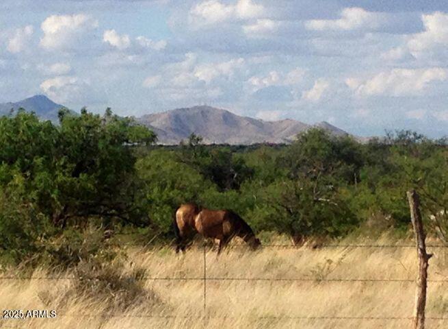 DRAGOON MOUNTAIN RANCH 1 - Land