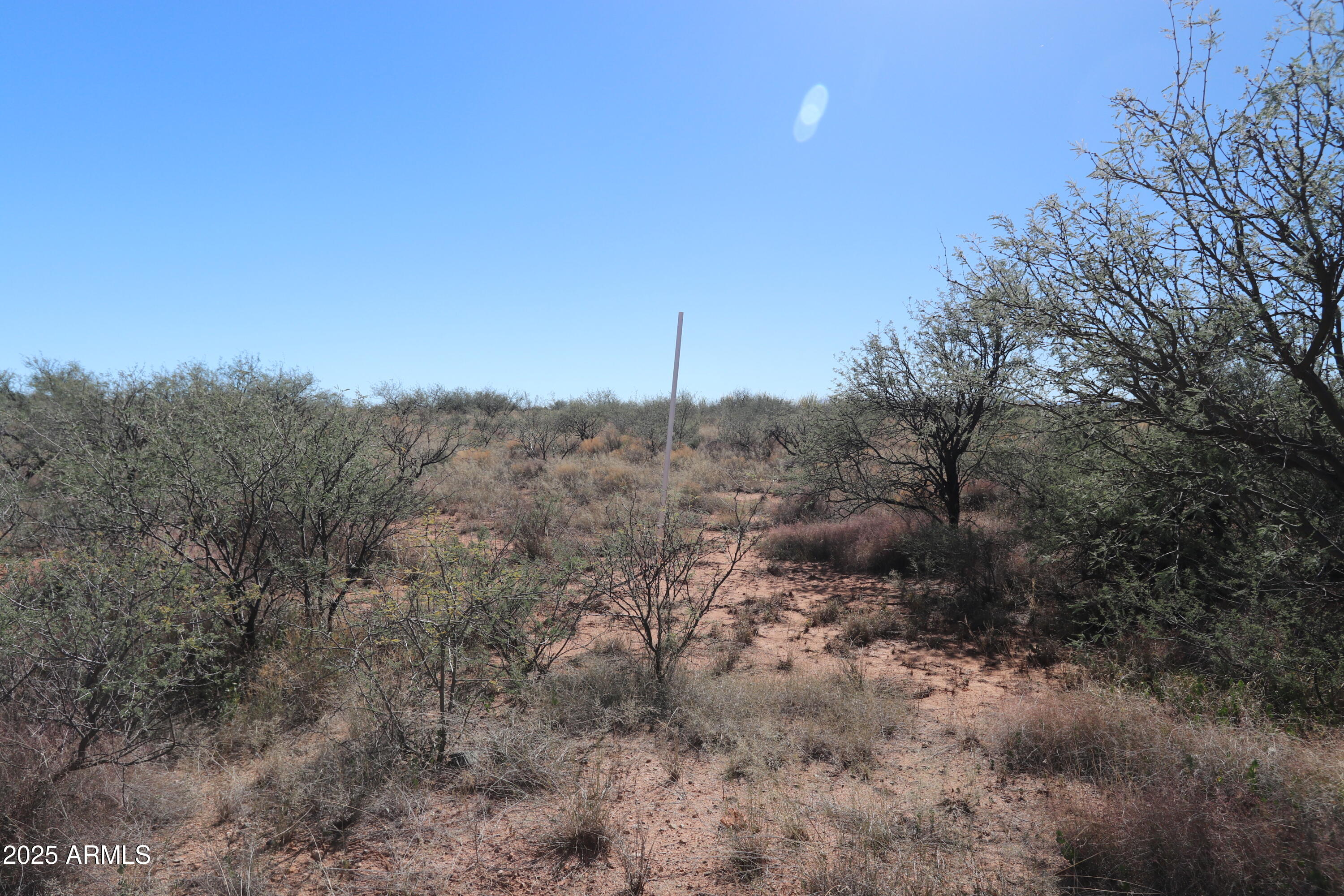 DRAGOON MOUNTAIN RANCH 1 - Land