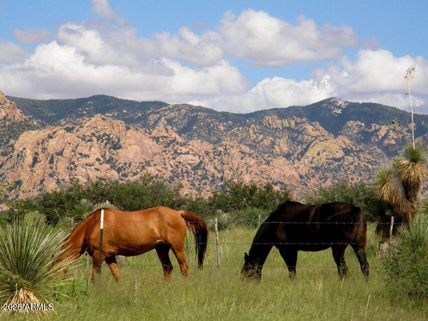 DRAGOON MOUNTAIN RANCH 1 - Land