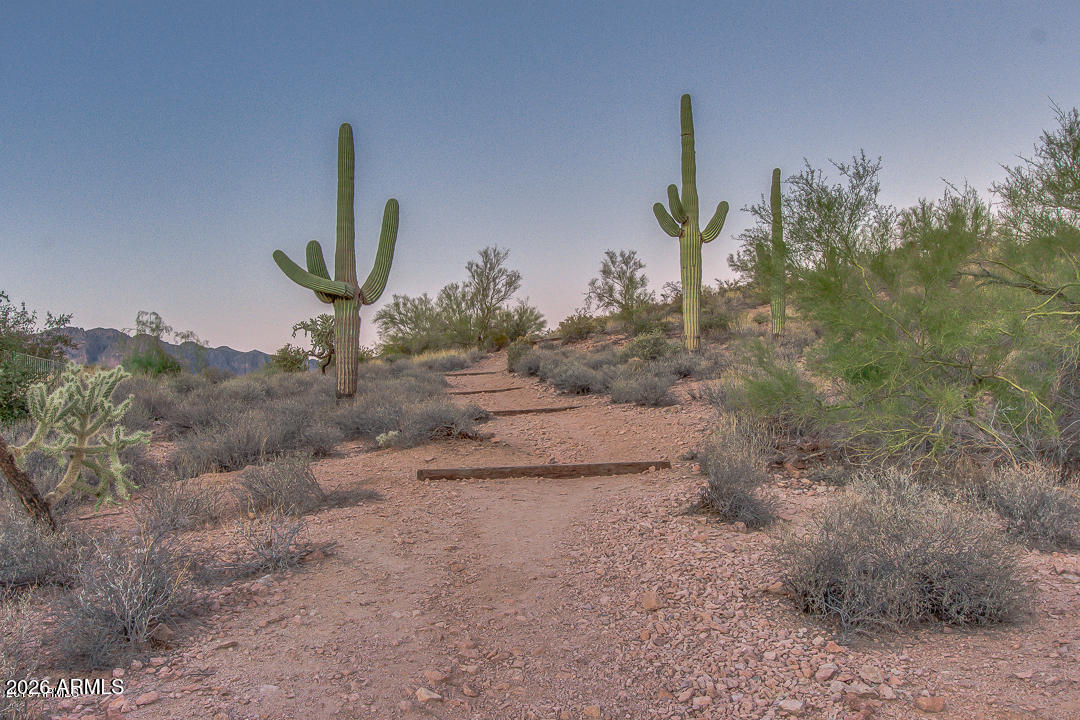 SUPERSTITION FOOTHILLS - Residential
