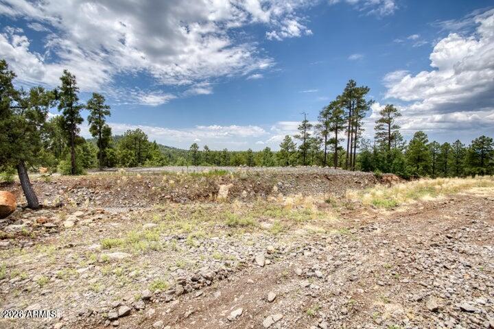 Pinetop Unsubdivided - Land