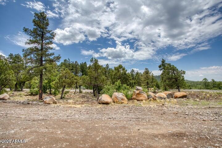 Pinetop Unsubdivided - Land