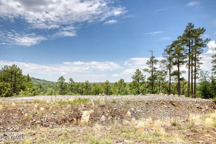 Pinetop Unsubdivided - Land