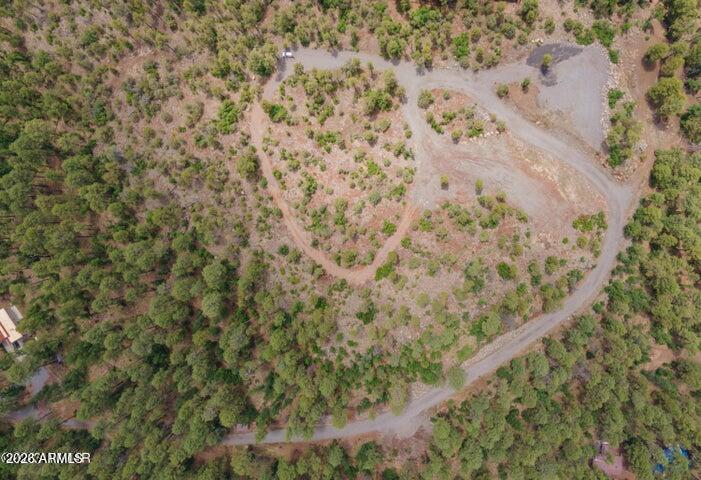 Pinetop Unsubdivided - Land