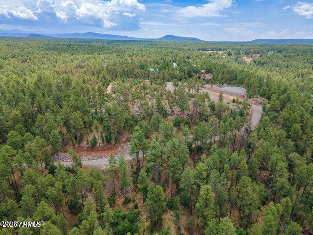 Pinetop Unsubdivided - Land
