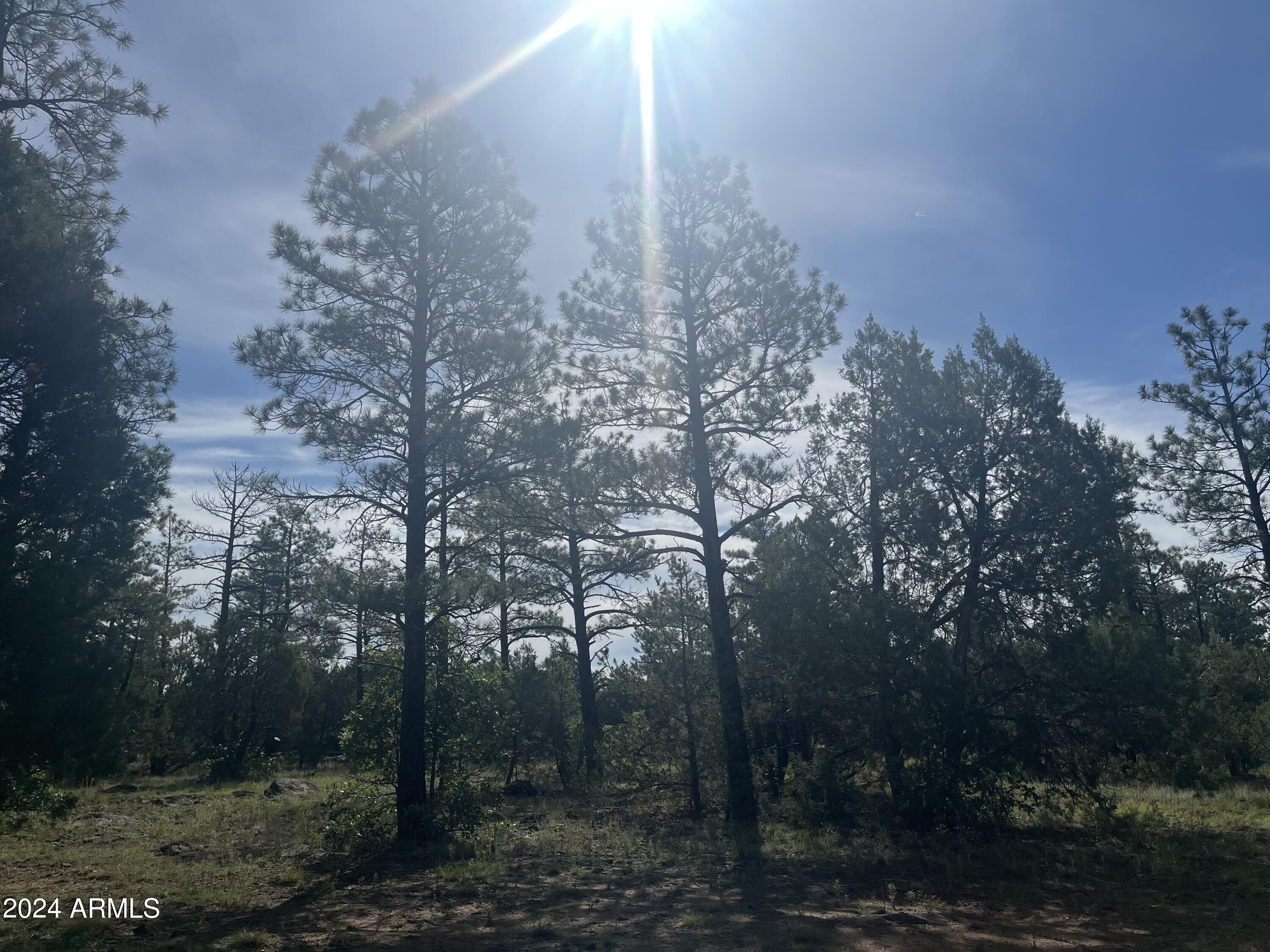 WOLF PINES UNIT 2 - Land