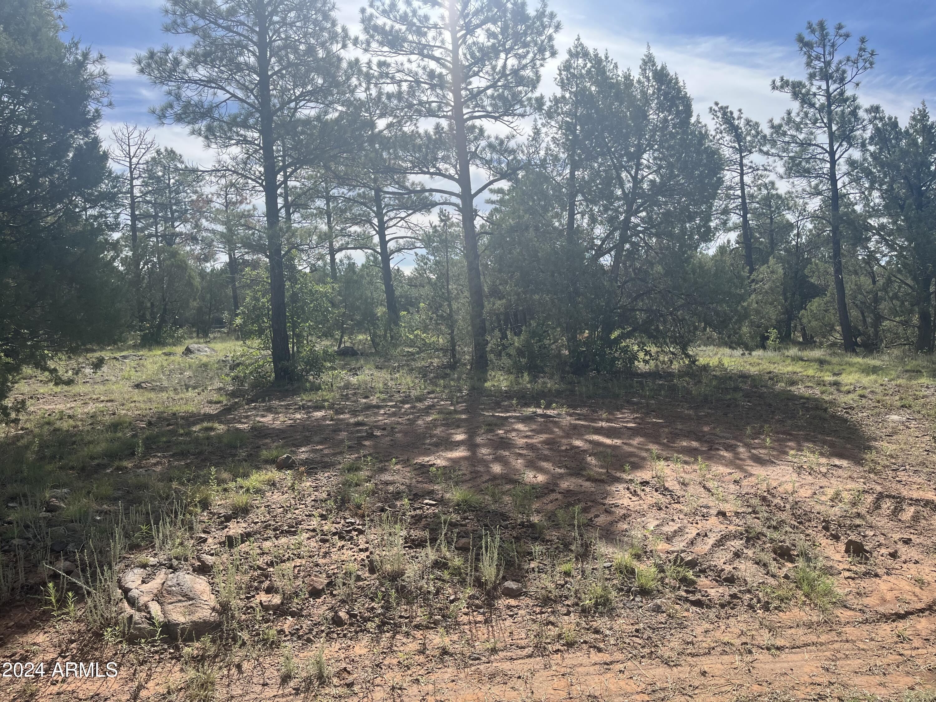WOLF PINES UNIT 2 - Land