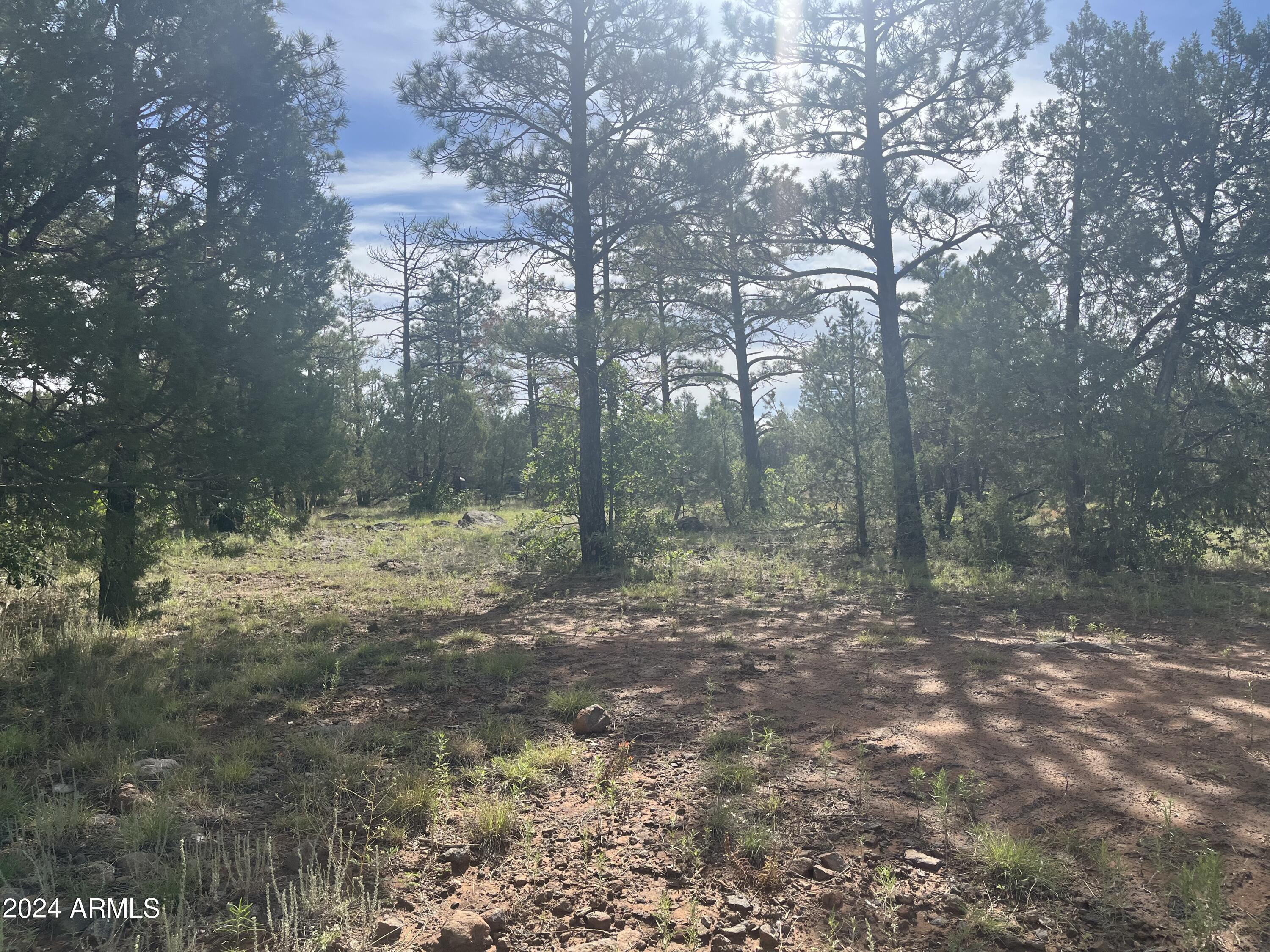 WOLF PINES UNIT 2 - Land