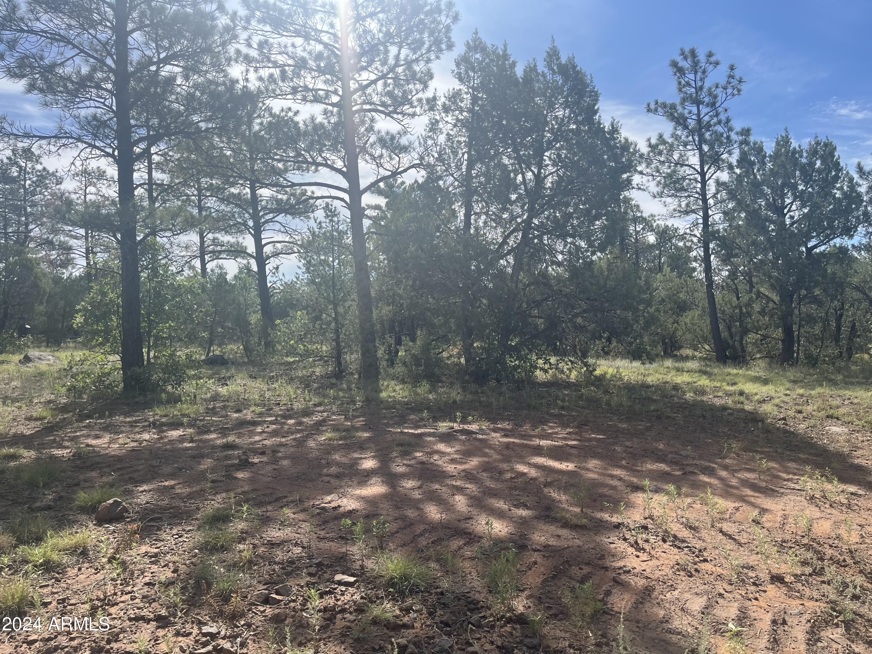 WOLF PINES UNIT 2 - Land