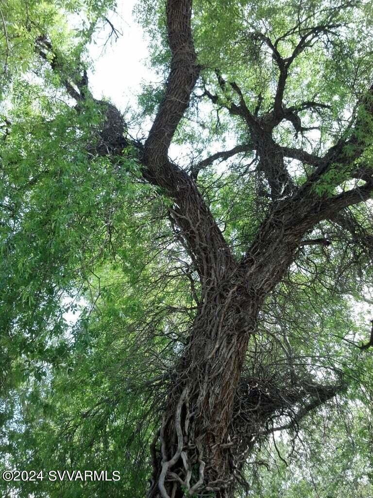 Under 5 Acres - Residential Income