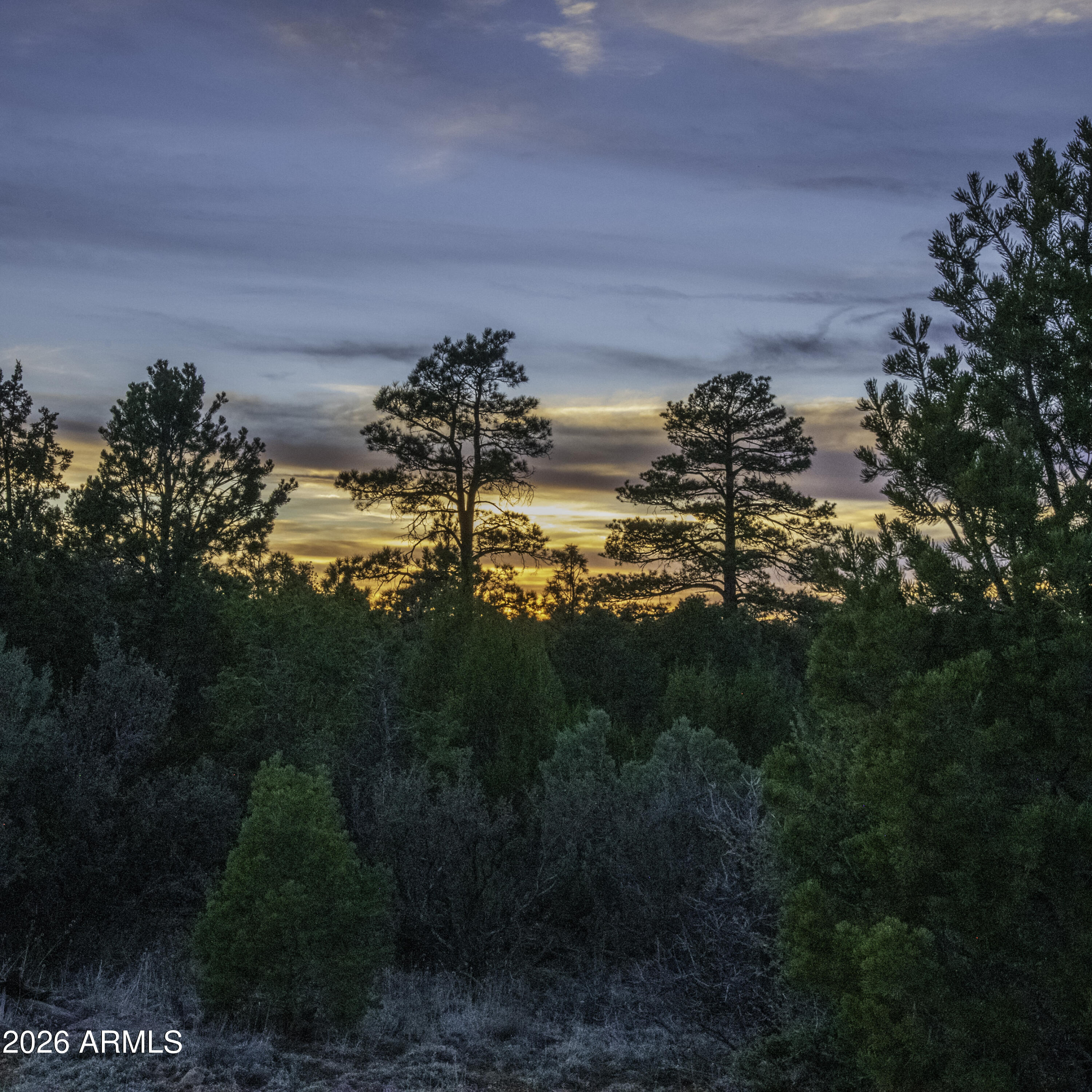 MOGOLLON RANCH UNIT 2 - Land