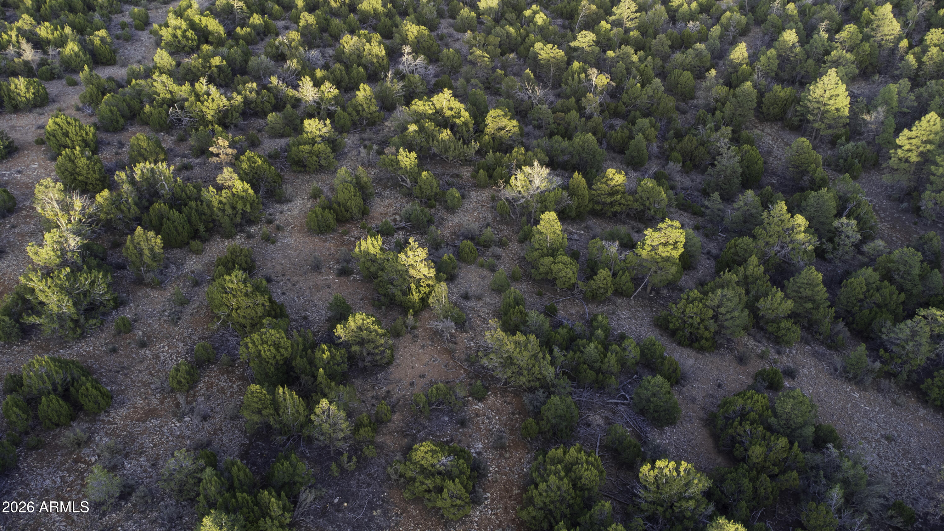 MOGOLLON RANCH UNIT 2 - Land