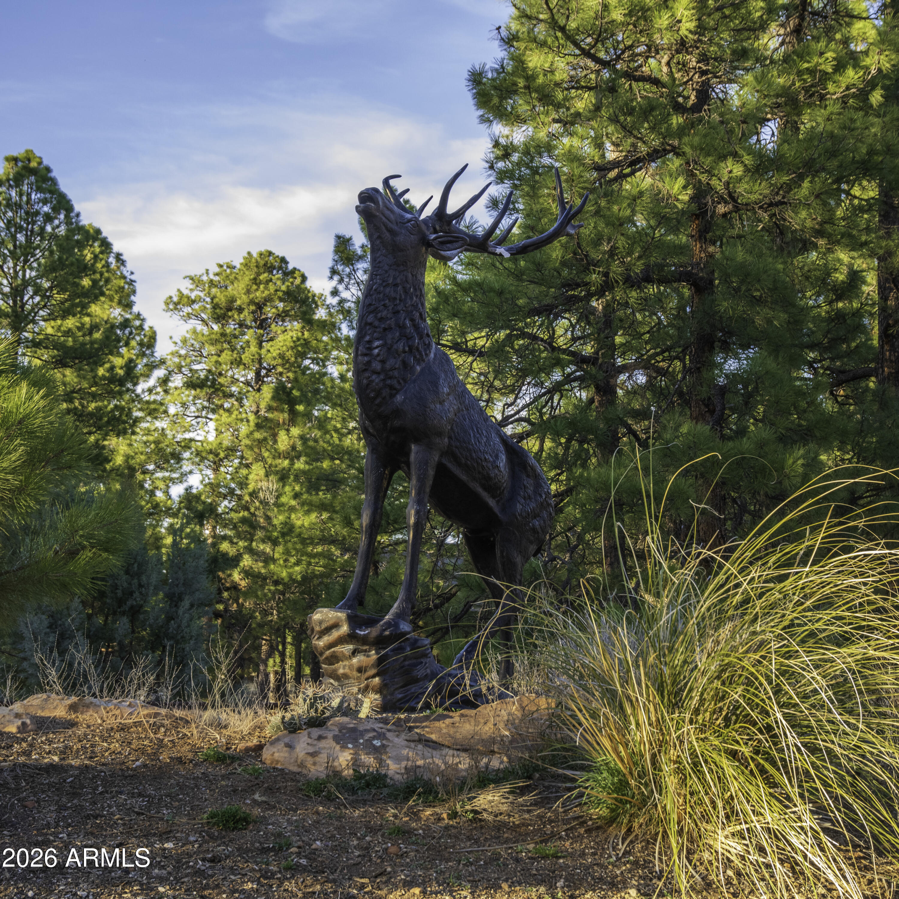 MOGOLLON RANCH UNIT 2 - Land