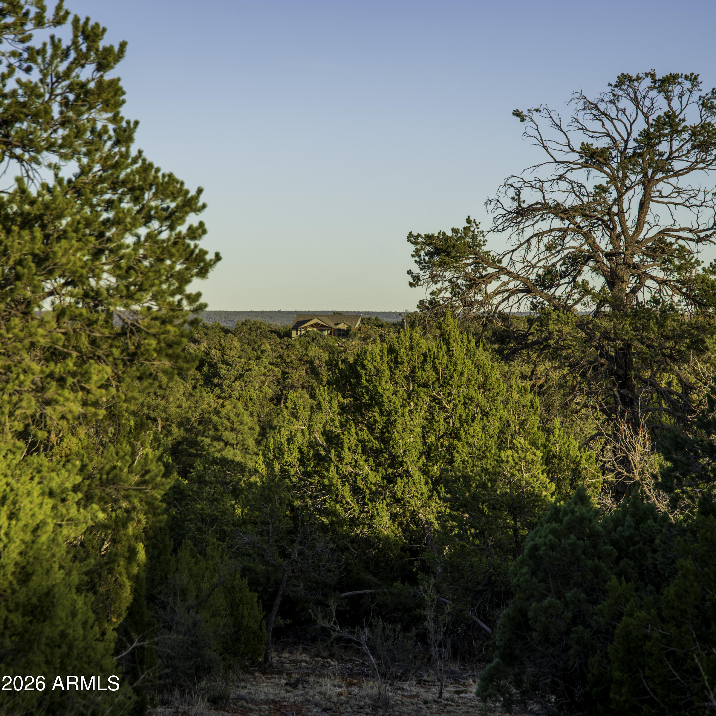 MOGOLLON RANCH UNIT 2 - Land