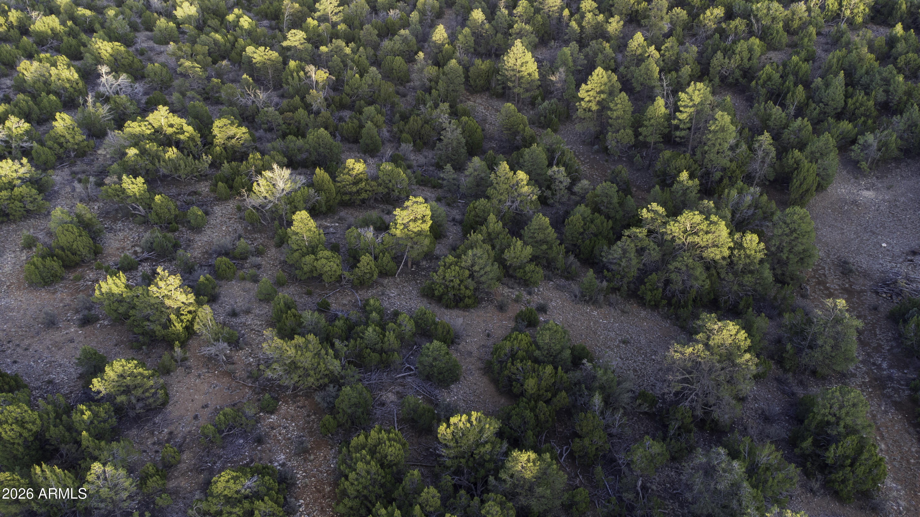 MOGOLLON RANCH UNIT 2 - Land