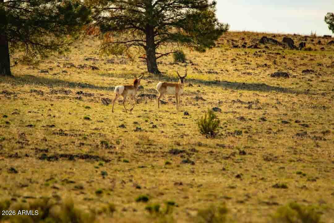MOGOLLON RANCH UNIT 2 - Land