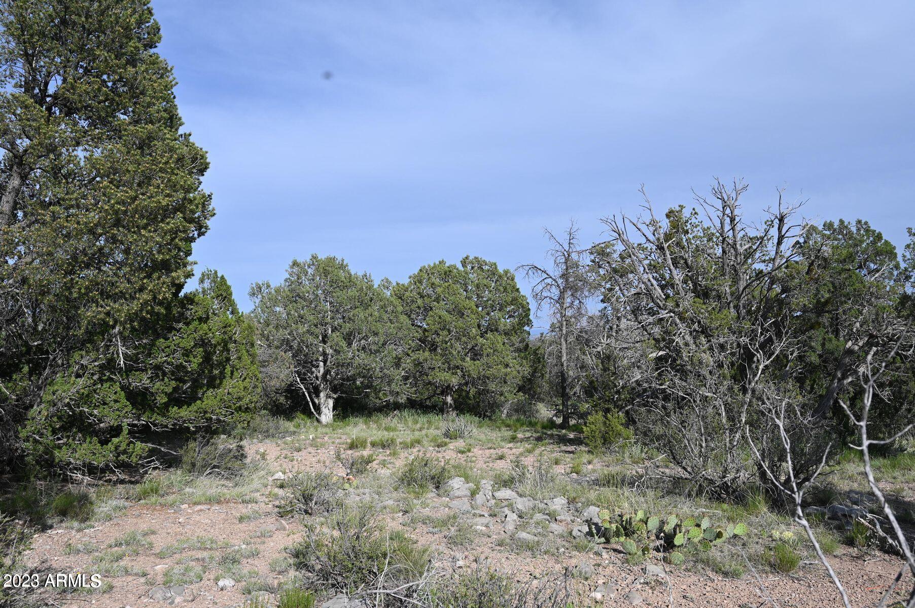 BRIDGE CANYON COUNTRY ESTATES UNIT 9 - Land