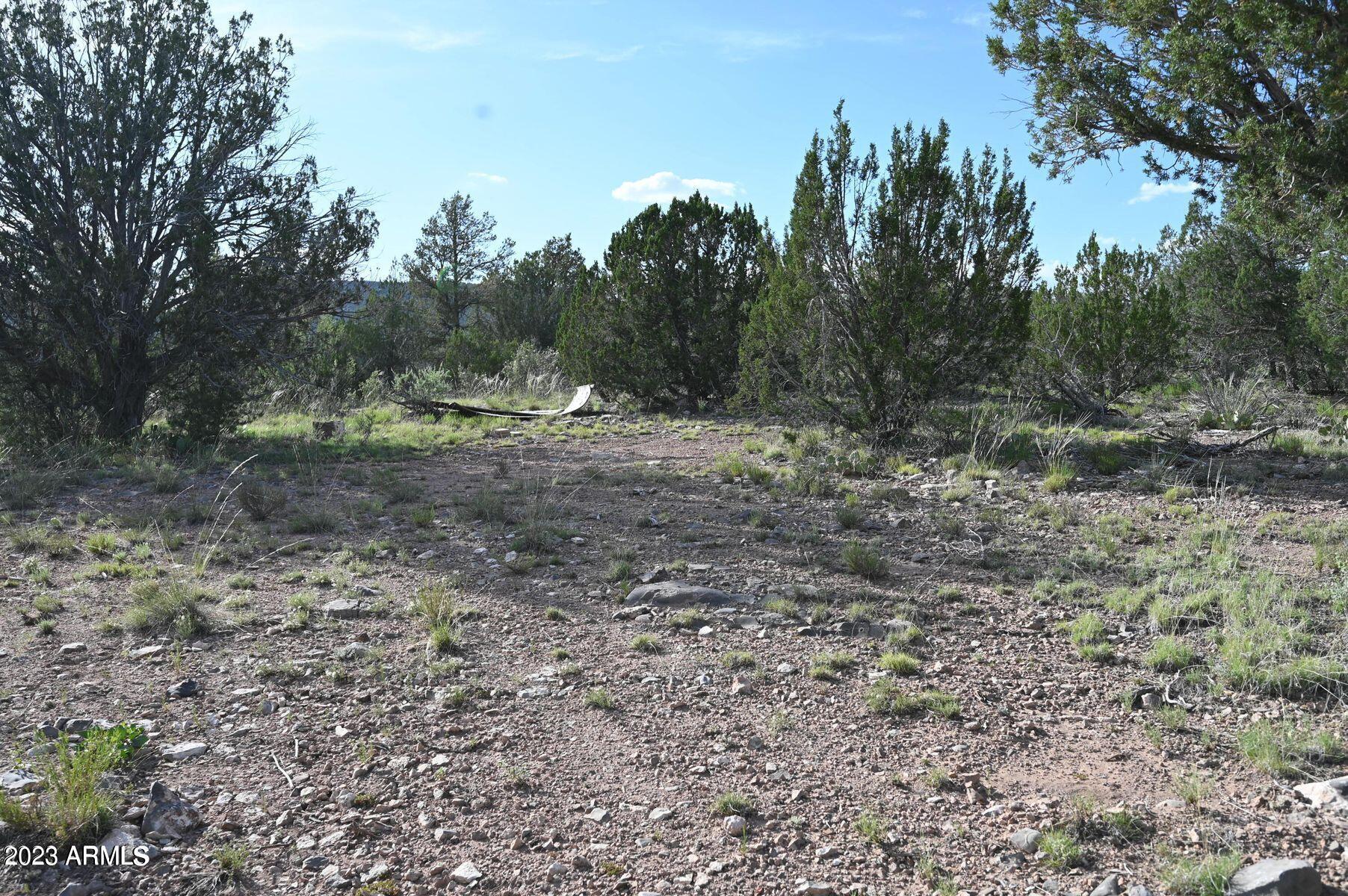 Your canvas awaits! Embrace the tranquility of mountain views and the allure of mature trees on this 1.9-acre property. With power nearby and hauled water available, this land is primed for your dreams. Whether it's camping under the stars, hiking amidst natural beauty, or exploring miles of roads with your quads, this parcel offers endless possibilities. Easy car access makes this slice of paradise a must-see. Seize this opportunity to make your vision a reality!''
