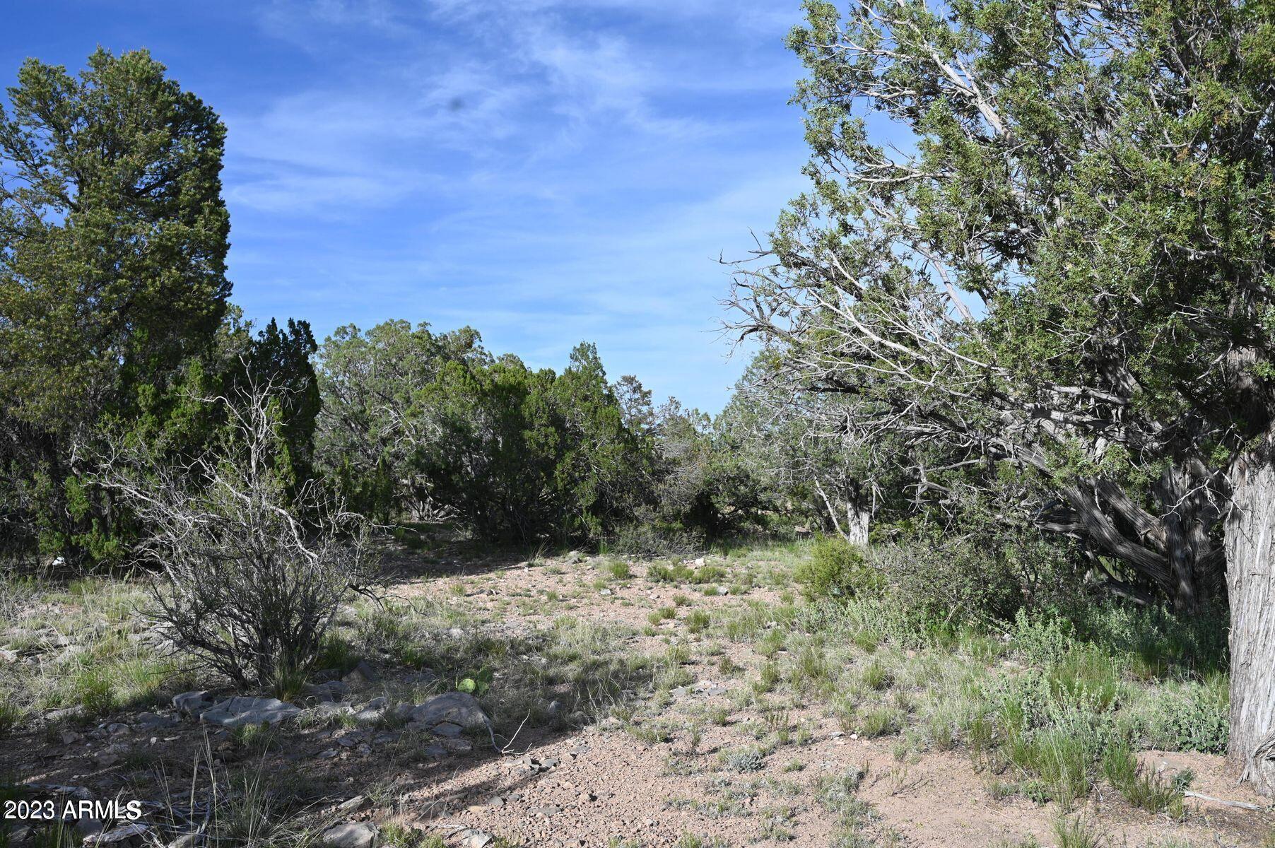 BRIDGE CANYON COUNTRY ESTATES UNIT 9 - Land