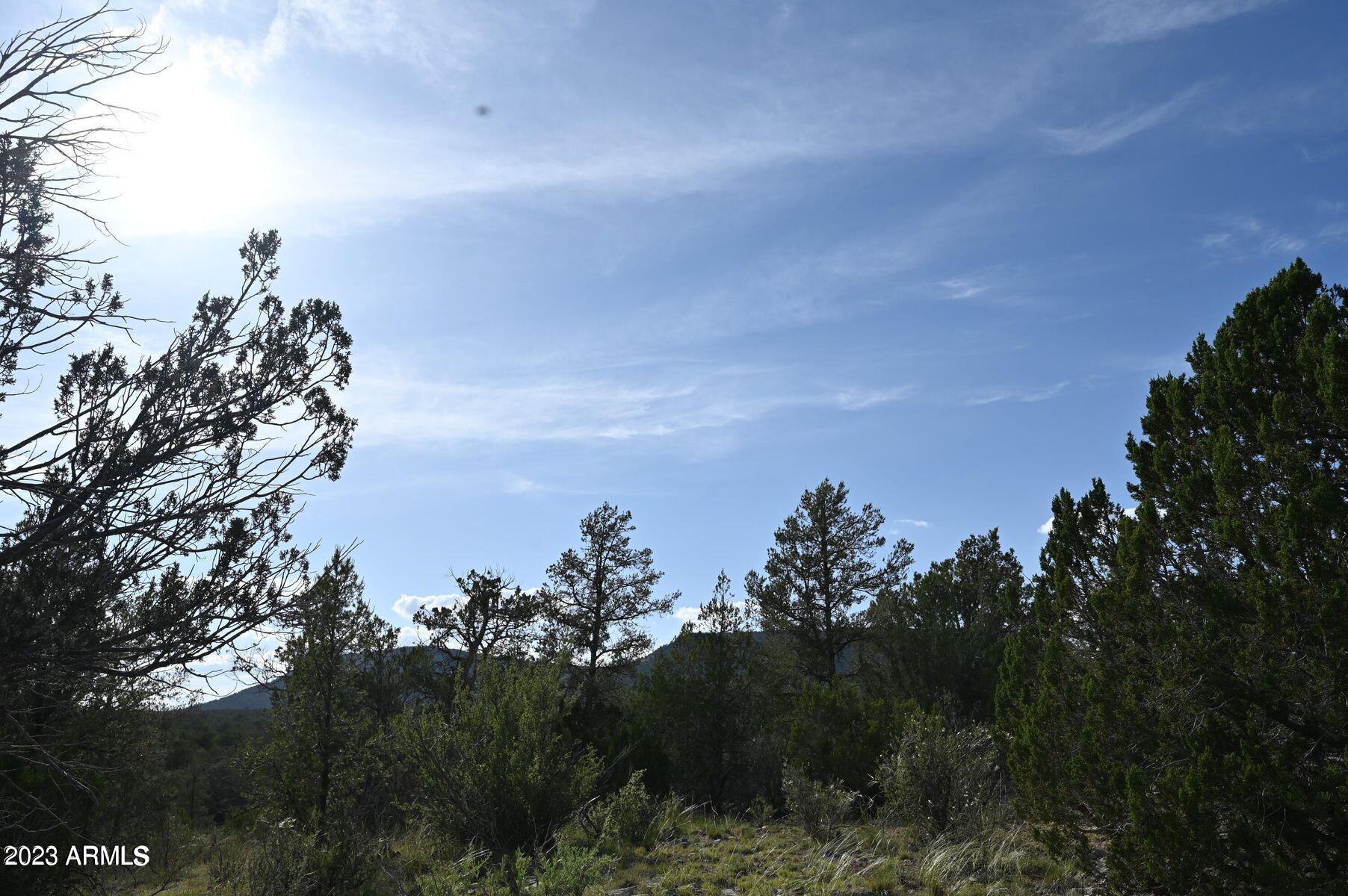 BRIDGE CANYON COUNTRY ESTATES UNIT 9 - Land