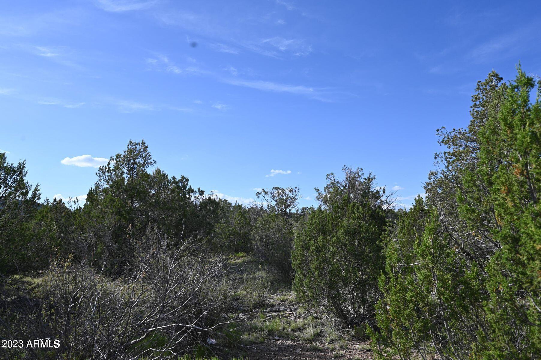 BRIDGE CANYON COUNTRY ESTATES UNIT 9 - Land