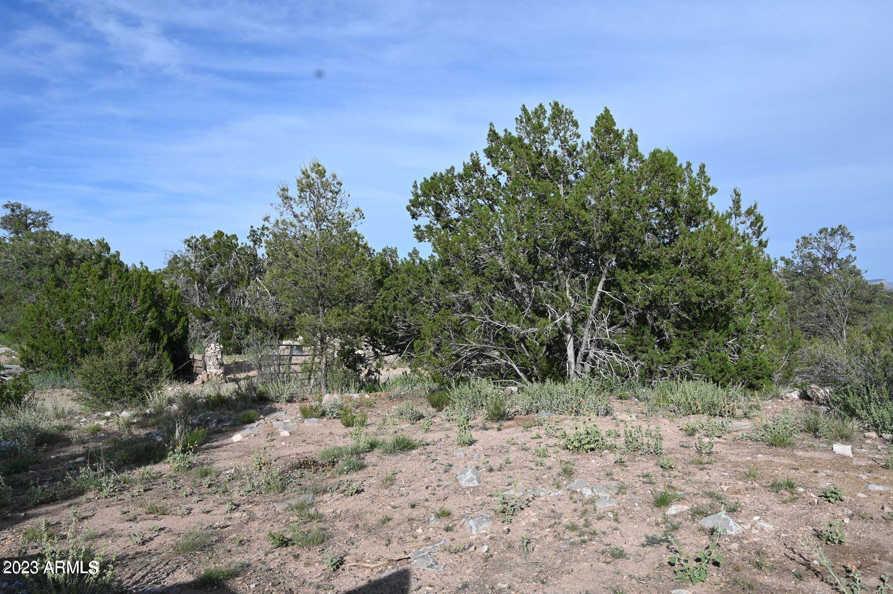 BRIDGE CANYON COUNTRY ESTATES UNIT 9 - Land