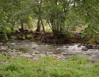 5 Acres or More - Residential