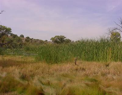 5 Acres or More - Residential