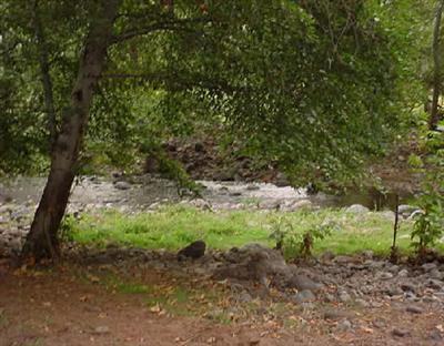 5 Acres or More - Residential