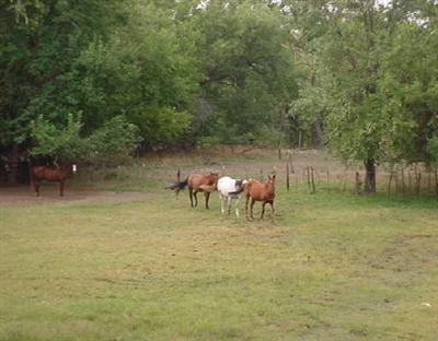 5 Acres or More - Residential