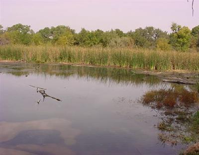 5 Acres or More - Residential