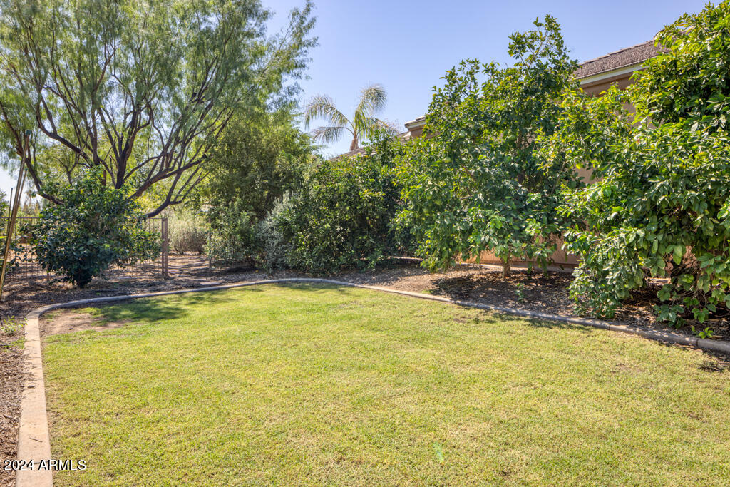 CYPRESS CREEK ESTATES - Residential