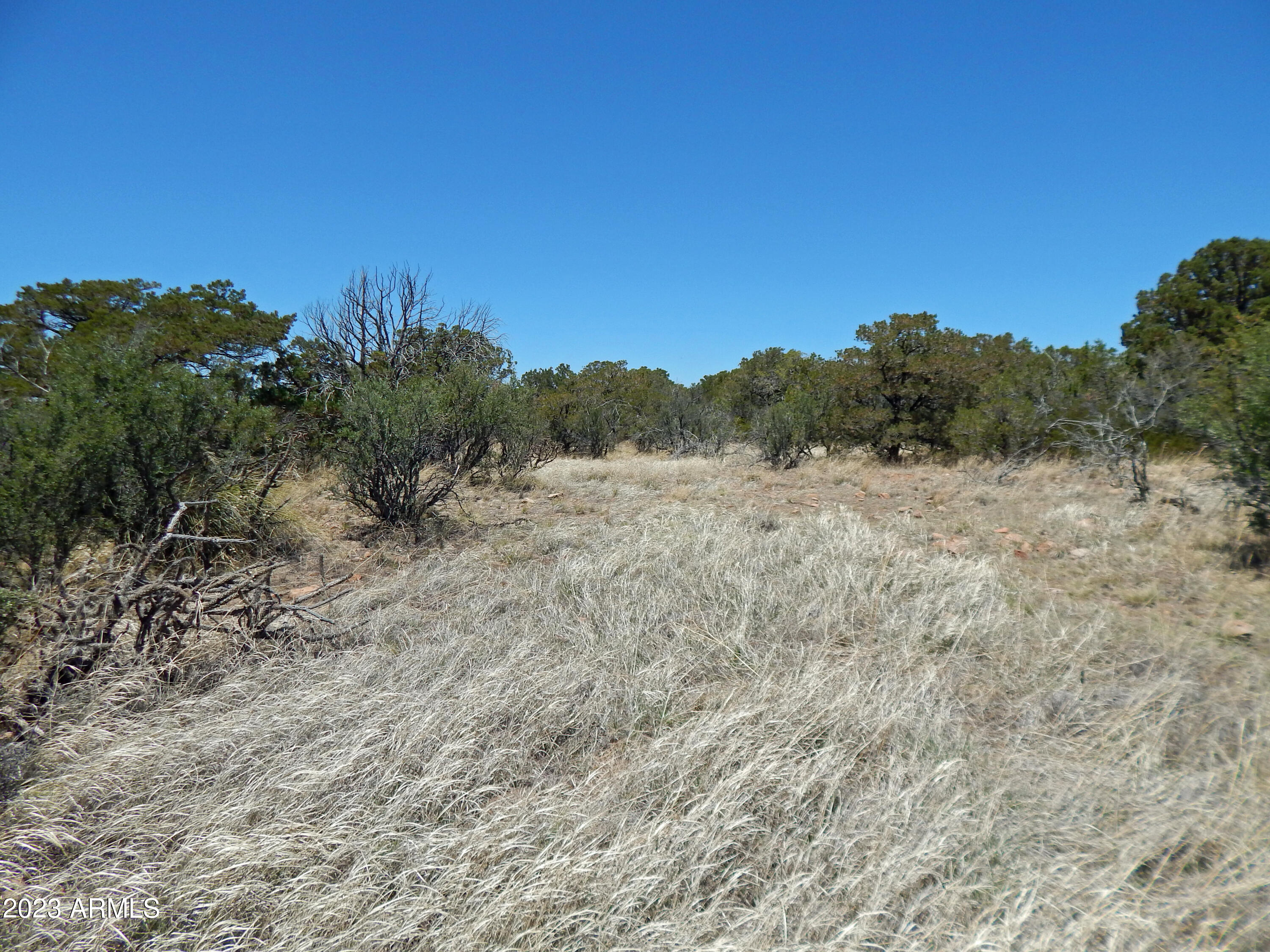 Sandy Bob Ranches LLC Unsubdivided Subdivision Phase 2 - Land