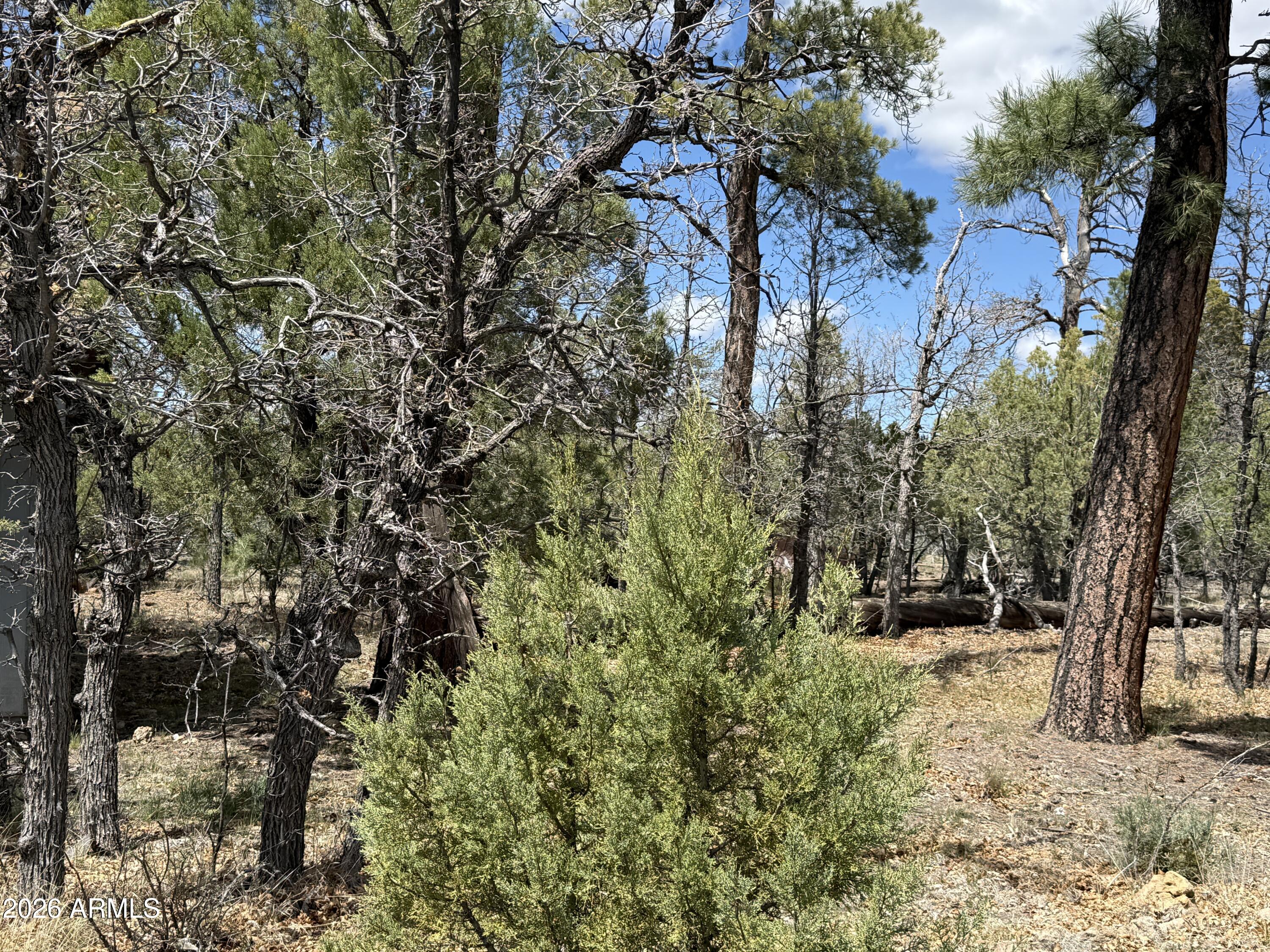 Create your dream mountain retreat on this beautiful forested homesite surrounded by towering Ponderosa Pines. This desirable non-HOA lot offers the freedom to build and enjoy the property your way, while still providing the option to join the local Property Owners Association for valuable benefits, including access to the community well and additional neighborhood amenities.
Ideally situated adjacent to land owned by the Coconino National Forest, this property offers exceptional privacy, scenic views, and access to endless outdoor recreation. Enjoy peaceful walks to the nearby creek area and the tranquility of Northern Arizona's natural beauty. Horses are welcome, making this an excellent opportunity for equestrian enthusiasts.
Conveniently located with close access to the local fire department and medical emergency services, the property combines rural charm with practical peace of mind. For buyers seeking additional space or development flexibility, the seller's adjacent lot is also available and includes access to electric and septic infrastructure.
Whether you're planning a full-time residence, family getaway, or future investment, this ready-to-plan homesite provides the perfect setting to create your ideal family oasis in one of Arizona's most sought-after forest communities.