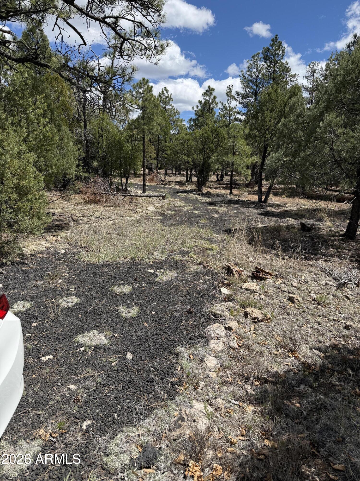CLEAR CREEK PINES 9 - Land