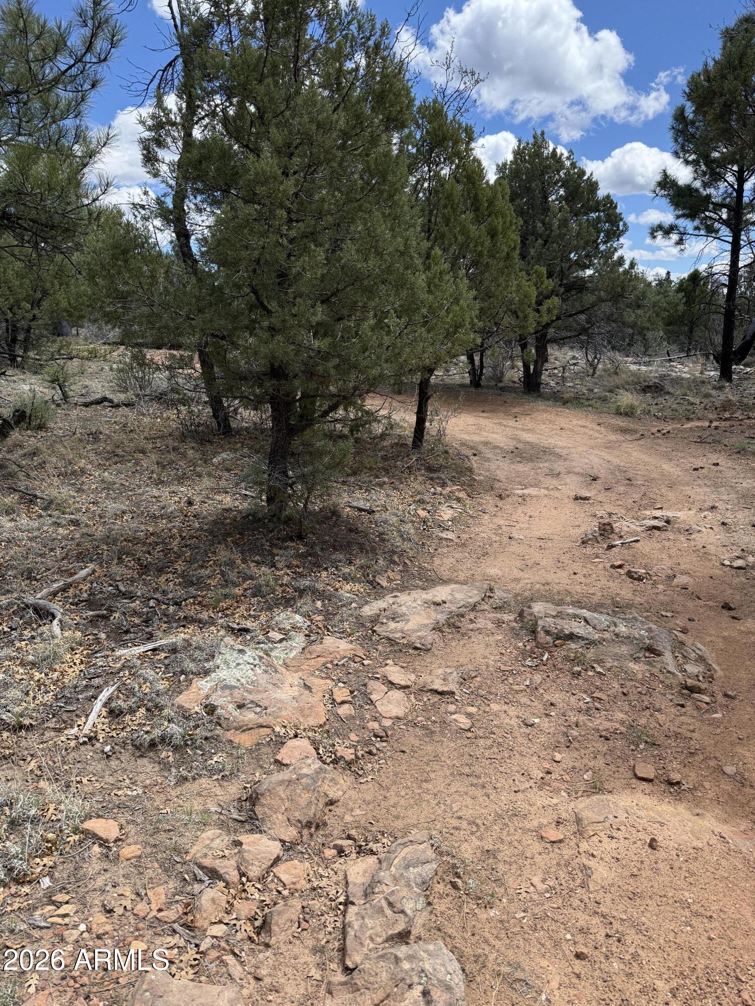 CLEAR CREEK PINES 9 - Land