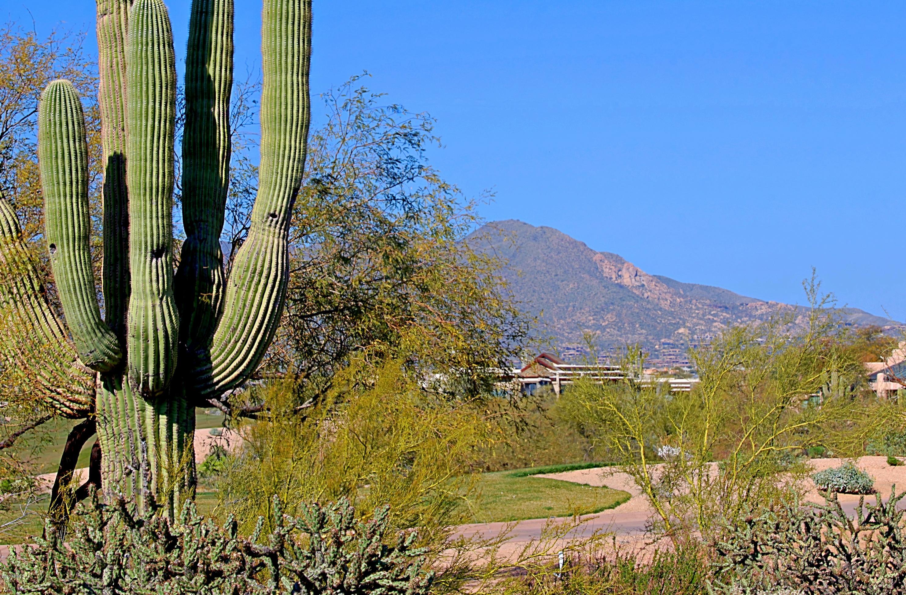 DESERT MOUNTAIN - Residential