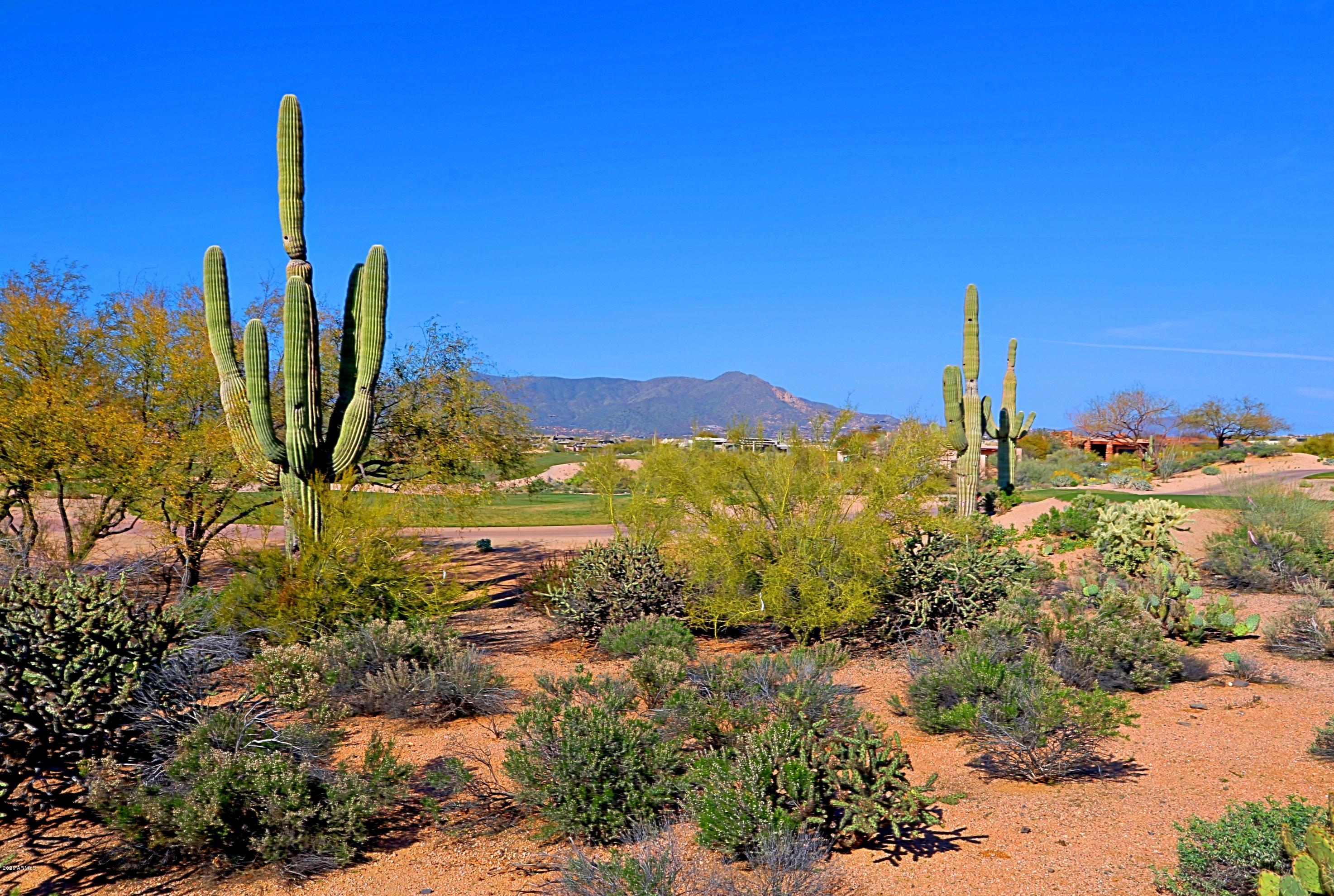 DESERT MOUNTAIN - Residential