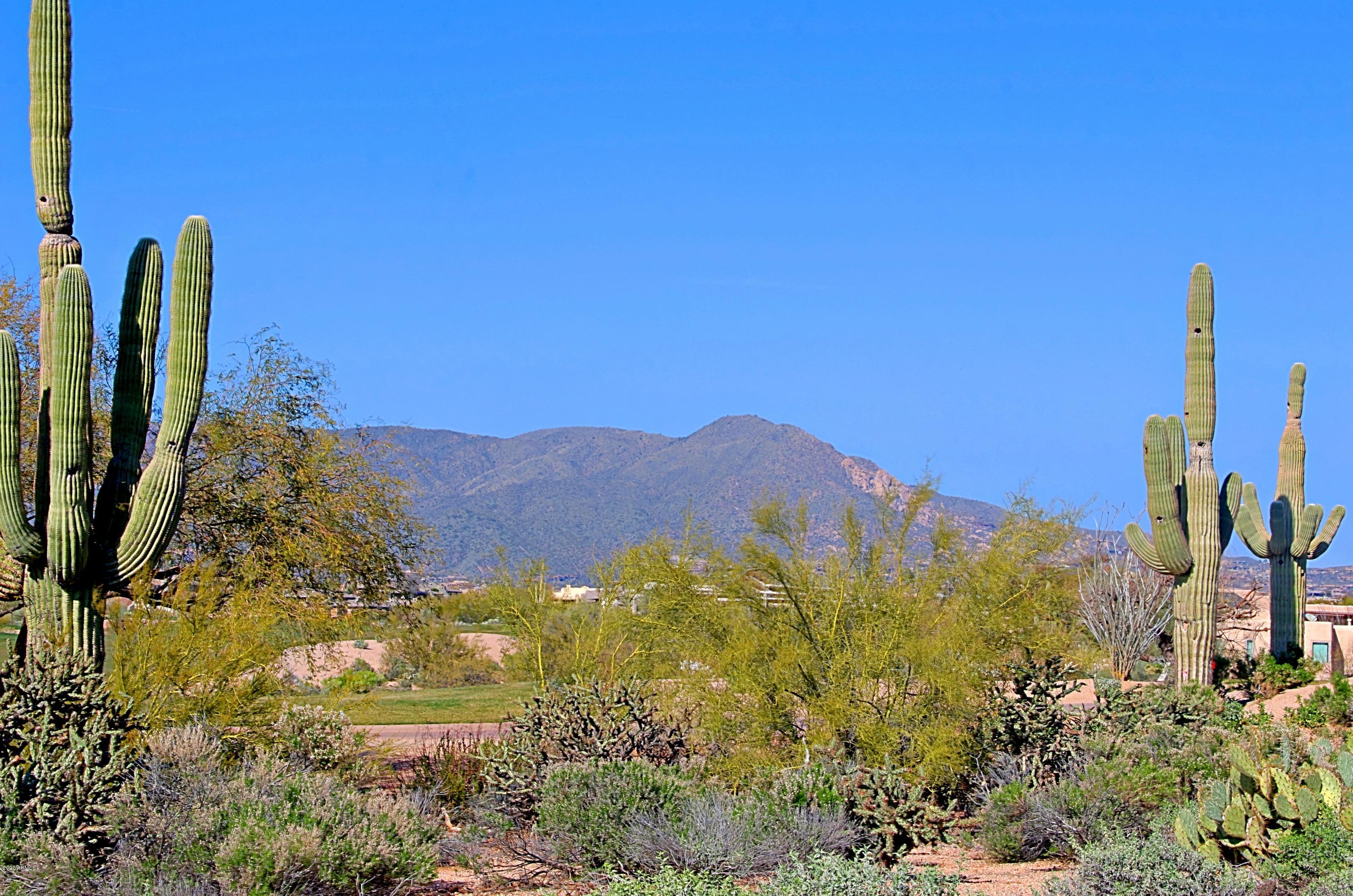 DESERT MOUNTAIN - Residential