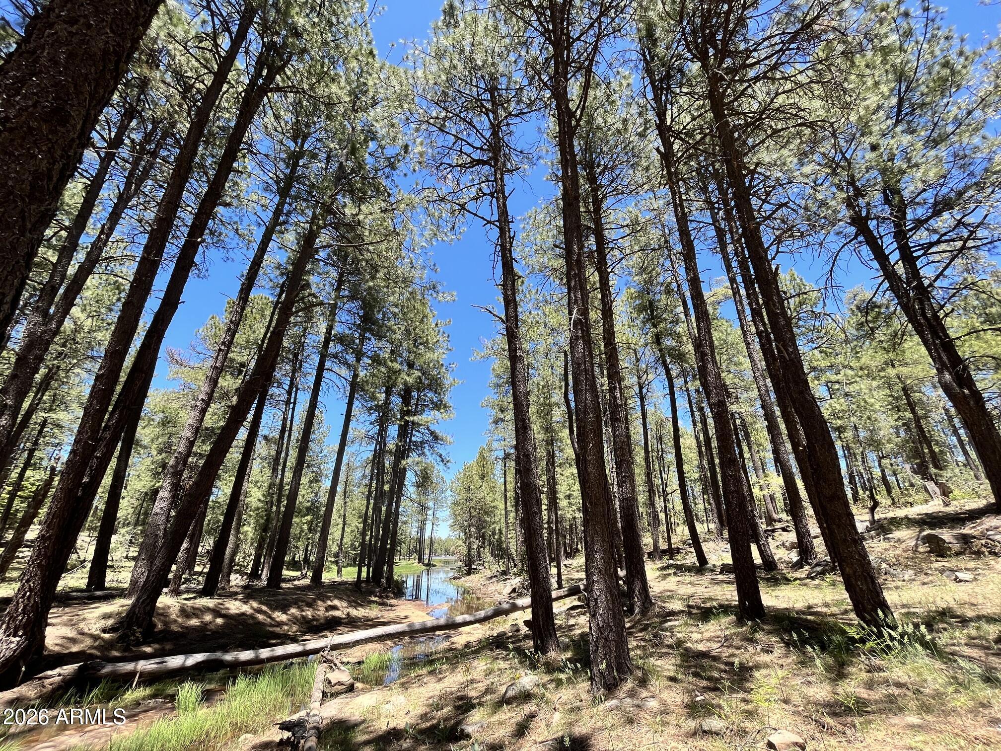 PINETOP LAKES EQUESTRIAN UNIT 1 - Residential
